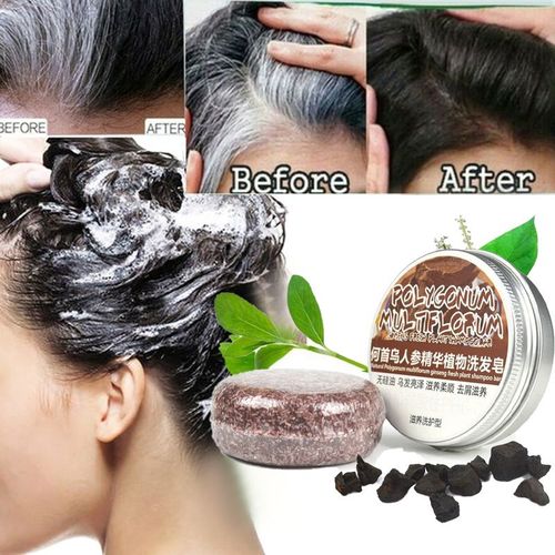 Shampoing Organique Pour Cheveux Gris, Nouveau Savon, Barre Assombrissant, Formule Douce Naturelle, Nettoyage Des Cheveux, Polygonum