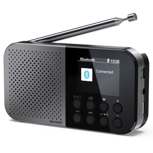 Sharp Dr-P520(Gy) - Radio Digitale Portatile - Dab/Dab+ - Lcd Monocromatico - Bluetooth 5.0 - Gray