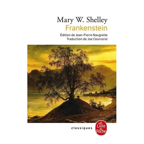 Frankenstein Ou Le Promthe Moderne    Format Poche 