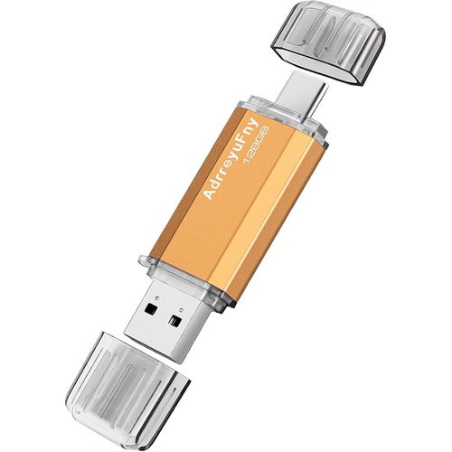 SHILIU-Cl USB C 128 GO, Clef USB 2.0 OTG Type C 2 en 1 Pen Drive Portable Mmoire Stick USB Flash Drive pour Smartphones (Or)[1582]