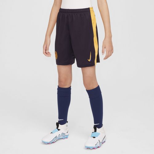 Short De Foot Replica Nike Dri-Fit Inter Milan 2024/25 Stadium 3e Tenue Pour Ado - Bleu - L