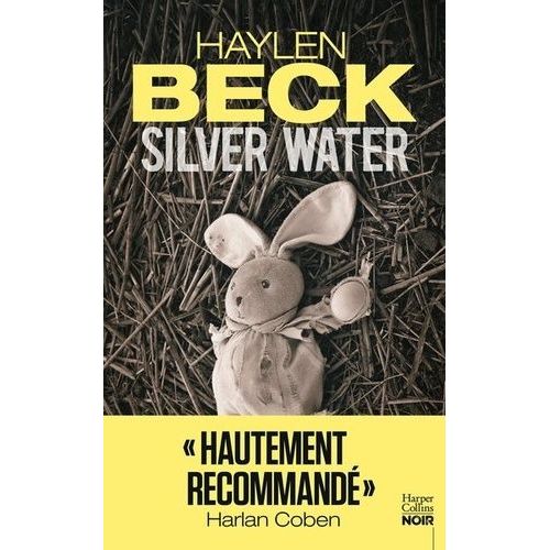 Silver Water    Format Grand Format 