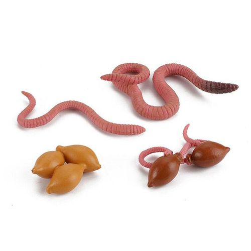 Simulation De Vie Sous La Mer,Insecte,Ver De Terre,Animaux Pour Enfants,Stade D'auckland,Vie Raliste,Modle De Subvention Et De Croissance,Poulpe Scientifique #B