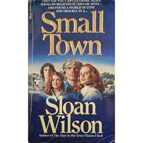 Small Town   de Sloan Wilson  Format Broch 