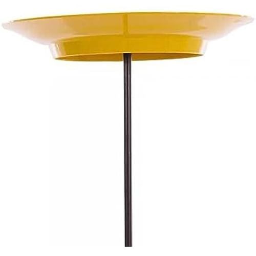 Softee Set De Assiette Chinois Jaune 24cm