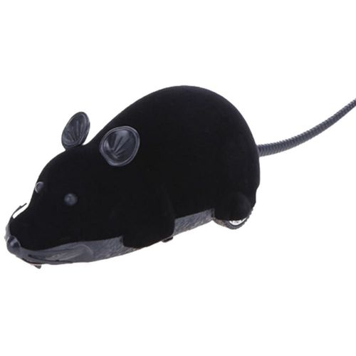 Souris Robotique Pour Chat, Jouet Interactif, Queue De Poils lectrique, Automatique, Sport De Plein Air