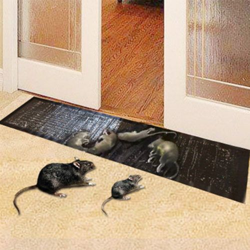 Souris Serpent Grande Taille Rongeur Receveur Fort Adhesif Rat Bureau Tapis Bugs Menage SR Non Toxique Souris Colle Piege