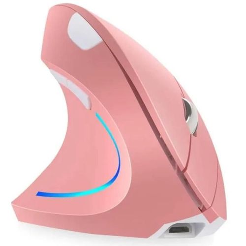 Souris Verticale Ergonomique Rechargeable Sans Fil 2,4 GHz pour Droitier avec 4 DPI RGlables 800-1200-1600-2400