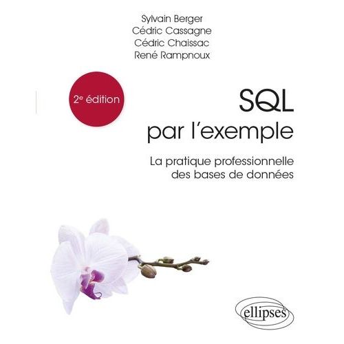 Sql Par L'exemple - La Pratique Professionnelle Des Bases De Donnes    Format Grand Format 