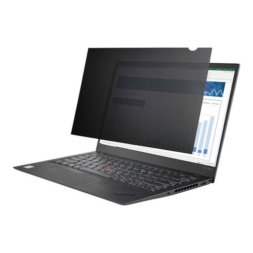 StarTech.com Filtre de Confidentialit PC 17,3