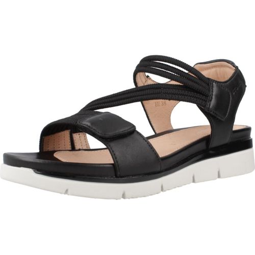 Stonefly Elody 23 Elastic/Nappa Lth Colour Noir - 38