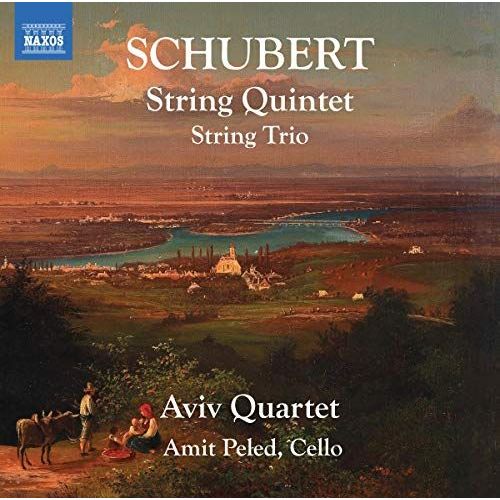 String Quintet/String Tri - Unknown