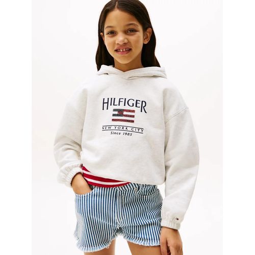 Sweat  Capuche Dcontract Hilfiger Flag Hilfiger Sequin Flag Hoodie/Snow White Heather - 176 Cm