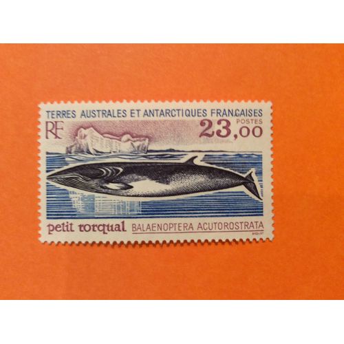 Taaf/T.A.A.F/Fsat 1995 Yvert N 197 Neuf**/Mnh