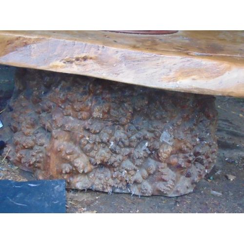 Table Basse Bois Massif Tronc Modele Unique