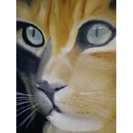 Tableau Chat Peinture A L Huile Peinture Rakuten