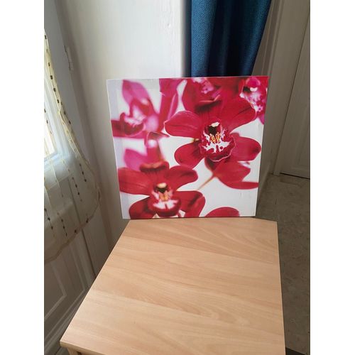 Tableau Sur Toile Avec Des Fleurs Rouges Comme Motif . Dimensions 40 Sur 40 Cm. 