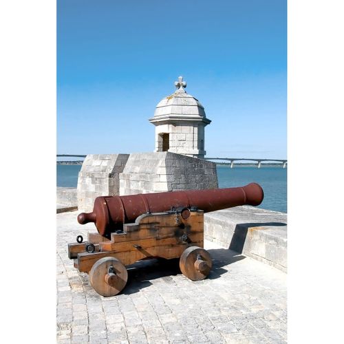 Tableau Sur Toile Fort Louvois 30x45 Cm