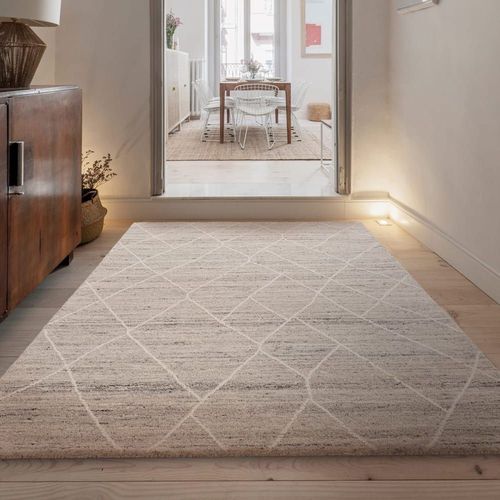 Tapis De Salon En Laine Beige Fonc 200x290 Cm