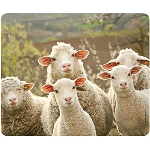 Tapis de souris (24 x 19 cm) en caoutchouc spcial extrmement rsistant  la dchirure avec une face infrieure fortement adhsive pour une tenue optimale par.[F444]