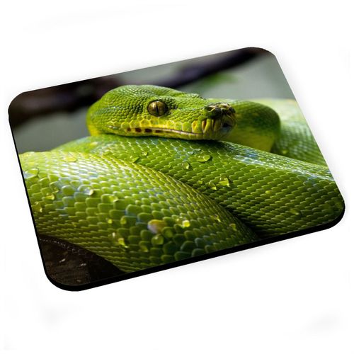 Tapis de Souris Python Vert Sublime Serpent Photo Nature Sauvage Reptile