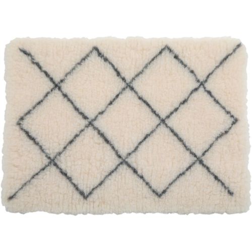 Tapis Isolants Pour Chiens 50 X 70 Cm Beige.