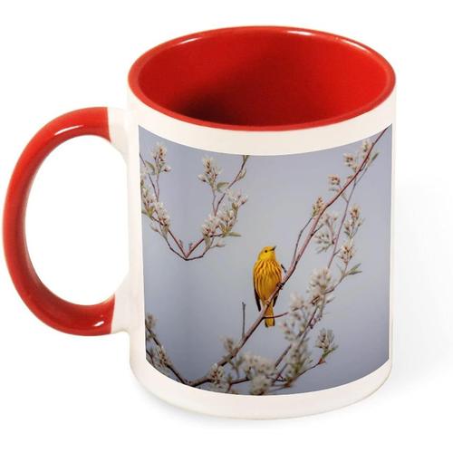 Tasse 330ml Mignon Animal Oiseau Cardinal, Tasses Pour Hommes Et Femmes, Tasses A Cafe