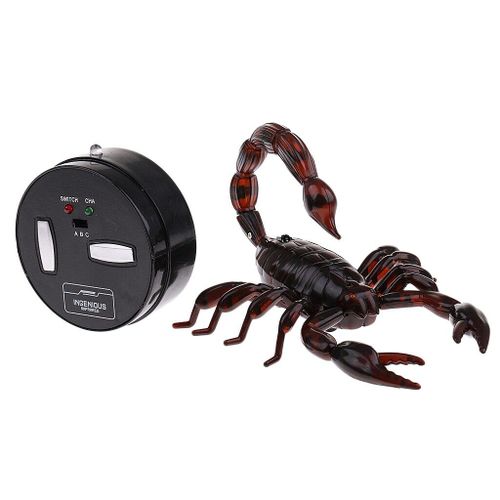 Tlcommande lectronique Pour Enfants, Simulation D'Animal De Compagnie, Scorpion, Jouets Robotiss, Farce