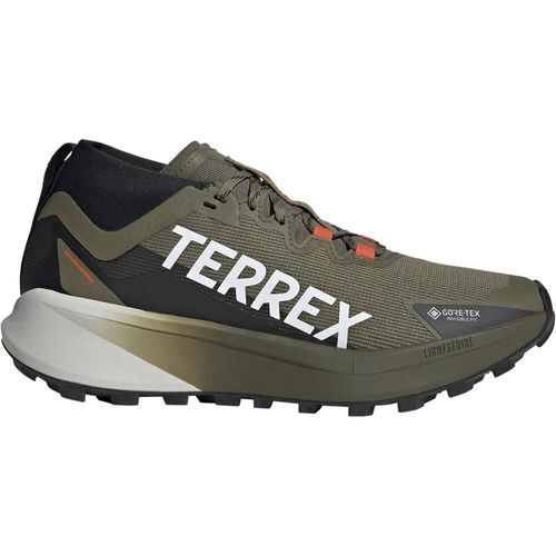 Terrex Agravic Gtx - 43 1/3