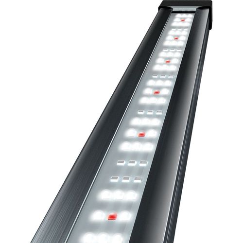 Tetra Tetronic Led Proline 980