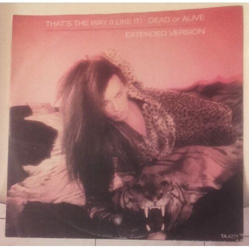 That's The Way ( I Like It ) - Extended Version ( Maxi 45 Tours ) - Dead Or Alive