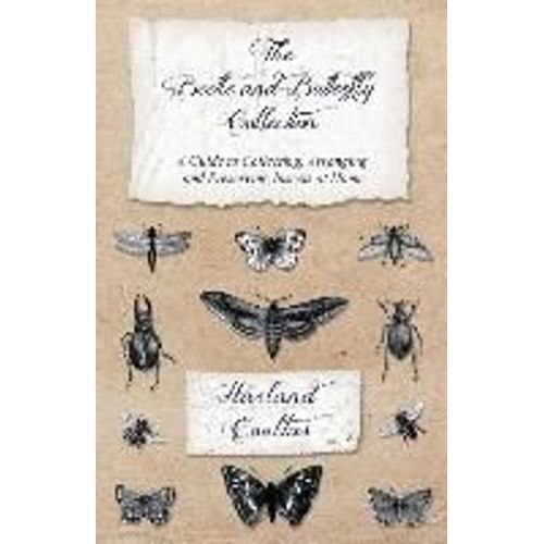 The Beetle And Butterfly Collection - A Guide To Collecting, Arranging And Preserving Insects At Home    Format Broch 