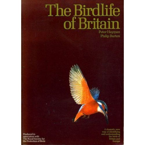 The Birdlife Of Britain: A Dramatic New Way Of Identifying And Understanding The Birds Of Britain And Europe   de peter hayman  Format Broch 
