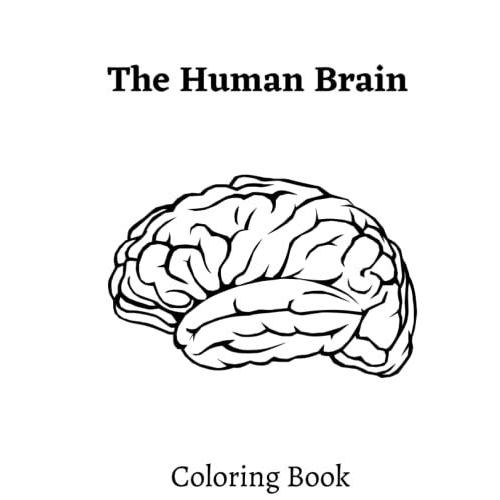 The Human Brain Coloring Book A Helpful Book and Fun Way to Learn