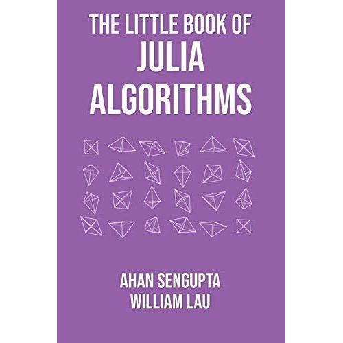 The Little Book Of Julia Algorithms: A Workbook To Develop Fluency In Julia Programming    Format Broch 