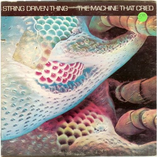 The Machine That Cried - String Driven Thing