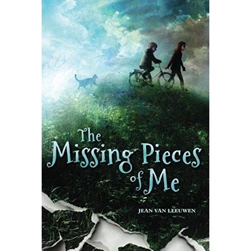The Missing Pieces Of Me    Format Broch 