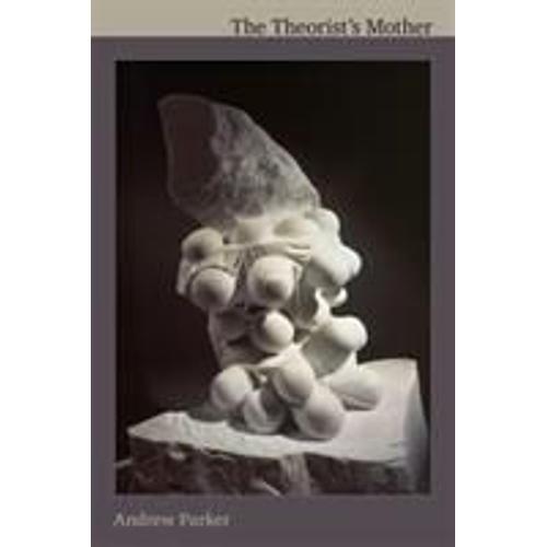 The Theorist's Mother   de Andrew Parker  Format Broch 