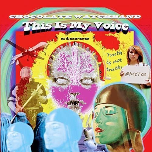 This Is My Voice - The Chocolate Watchband