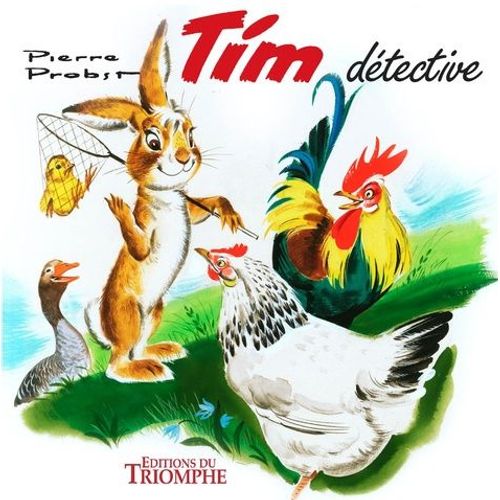 Tim Dtective    Format Broch 