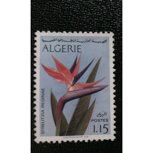 Timbre Algerie Yt 571 1973 Strelitzia Reginae