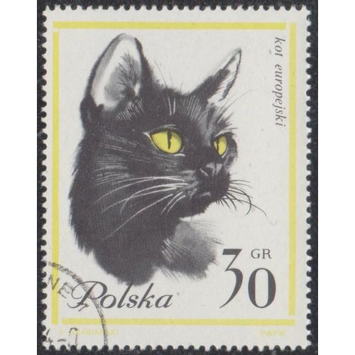 Timbre De Pologne N1332 Y&t 30 Gr Jaune Et Noir Chats Divers Valeur Et Polska En Noir Tte De Chat Noir D'europe
