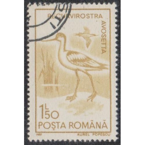 Timbre De Roumanie N3923 Y&t 1,50 L. Bistre Jaune Faune Oiseaux Recurvirostra Avosetta