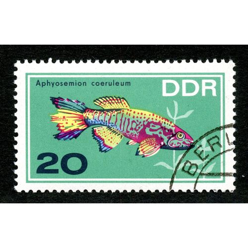 Timbre Oblitr Ddr, Aphyosemion Coeruleum, 20