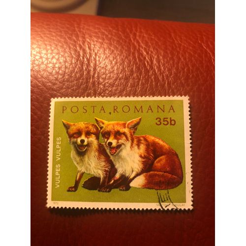 Timbre Oblitr Grand Format Ancien Reprsentant 2 Renards Poste Roumanie