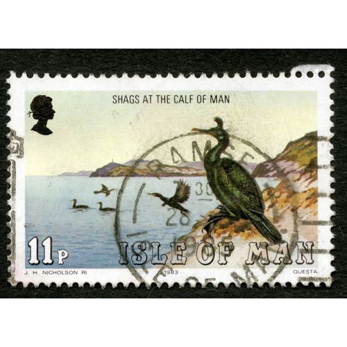 Timbre Oblitr Isle Of Man, Shags At The Calf Of Man, 11p, 1983