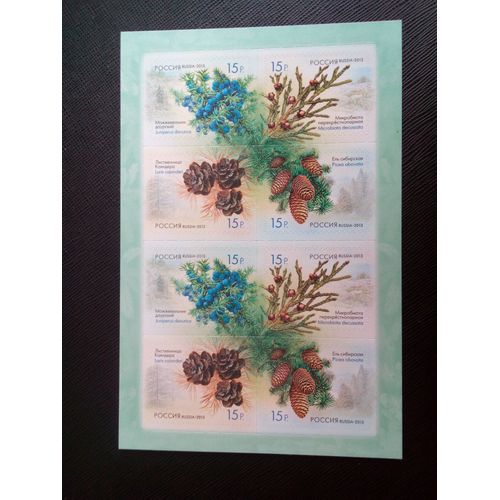 Timbre Russie Yt 7379 A 7382 Sries: Flore De Russie. Cnes De Conifres Et D'arbustes 2013 ( 090505 )