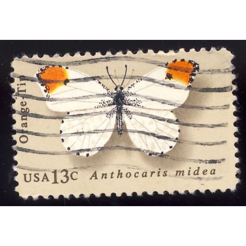 Timbre U S A, Anthocaris Midea, Orange Tip, U S A 13 Cents, Oblitr