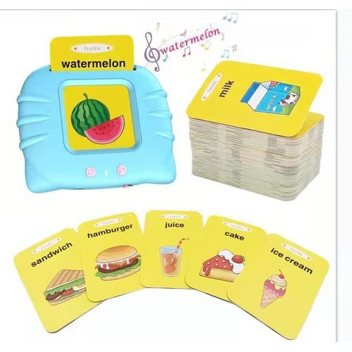 Toddler Toys for 2 3 4 5 Years Old Boys, 224 Common Words Talking Flashcards, Montessori Sensory