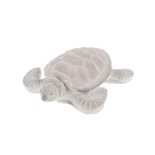 Tortue Mignonne En Ciment